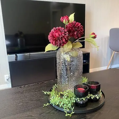 Apartamento Mycondo No - Snorres Gt 4b Apt 1 - Gratis Parkering